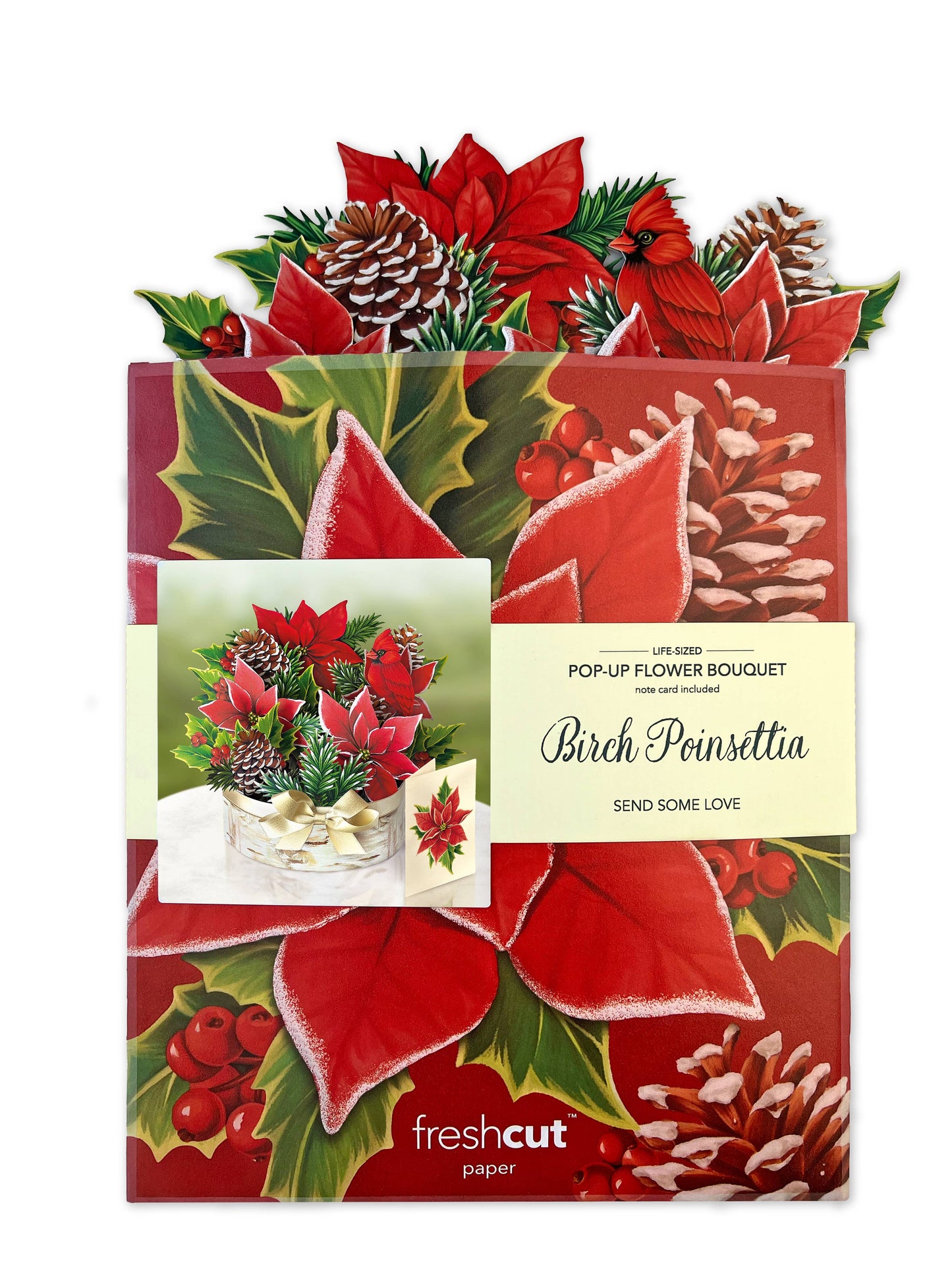 Birch Poinsettia