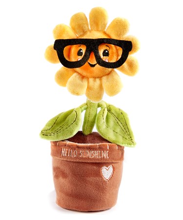 Soil Mates, Goldie (Sunflower)