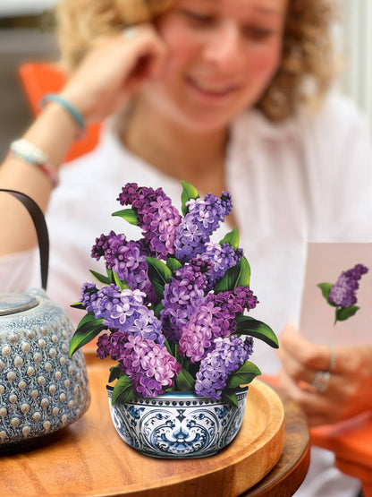 Mini Garden Lilacs