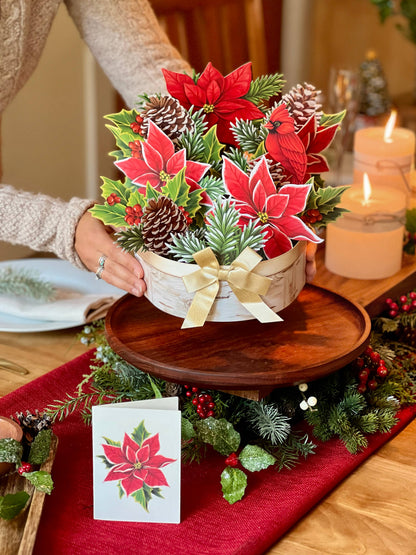 Birch Poinsettia