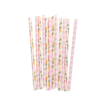 Carrots and Stripes Reusable Straws