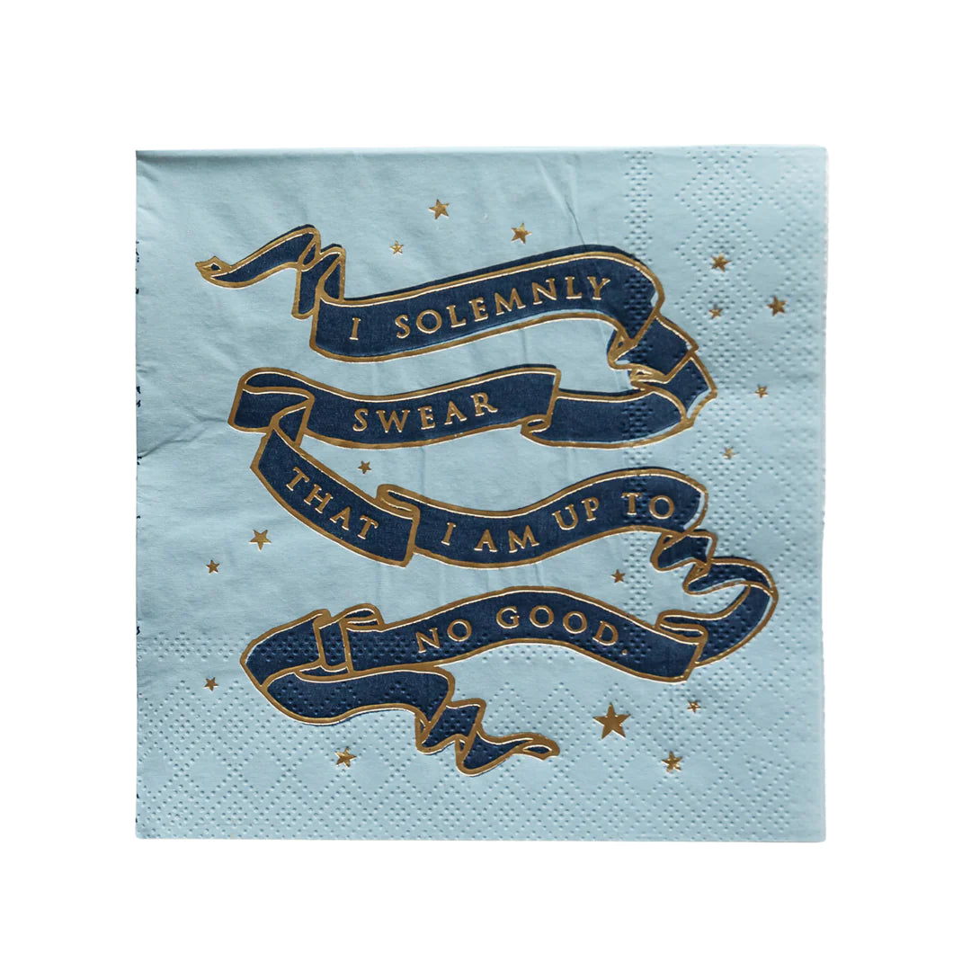 HARRY POTTER X BONJOUR FÊTE HOUSE PRIDE SMALL PARTY NAPKINS