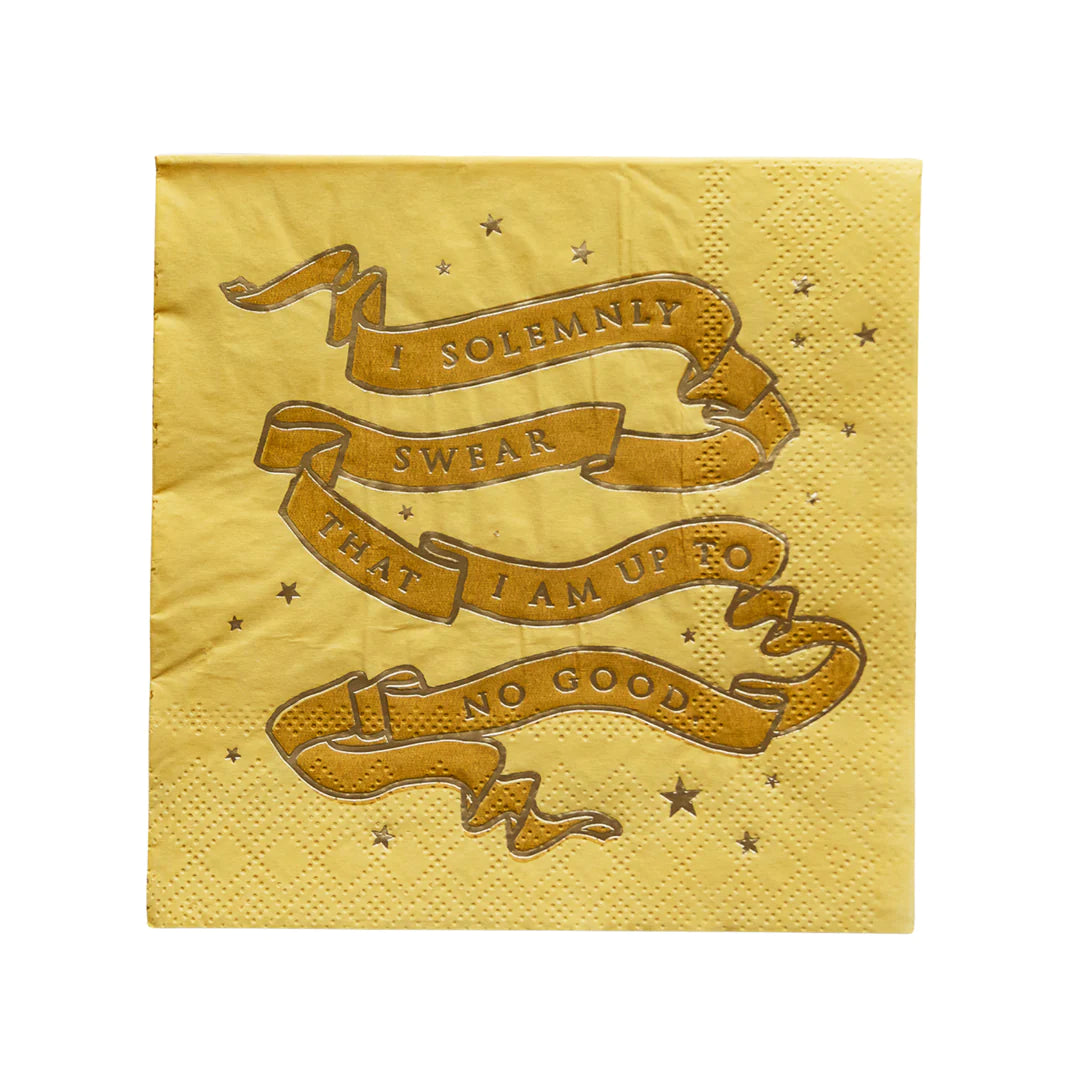 HARRY POTTER X BONJOUR FÊTE HOUSE PRIDE SMALL PARTY NAPKINS