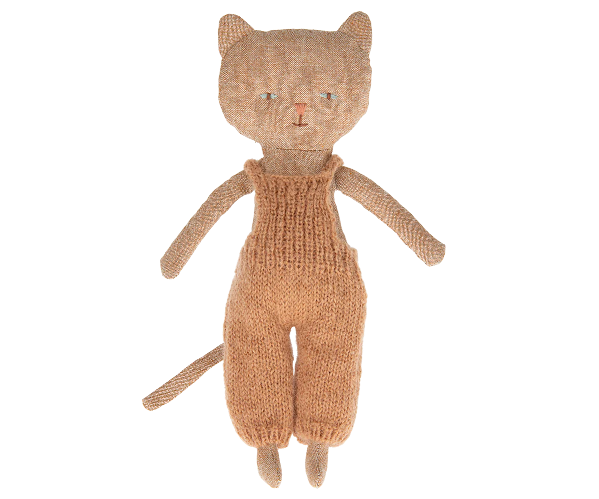 Chatons, Kitten - Ginger