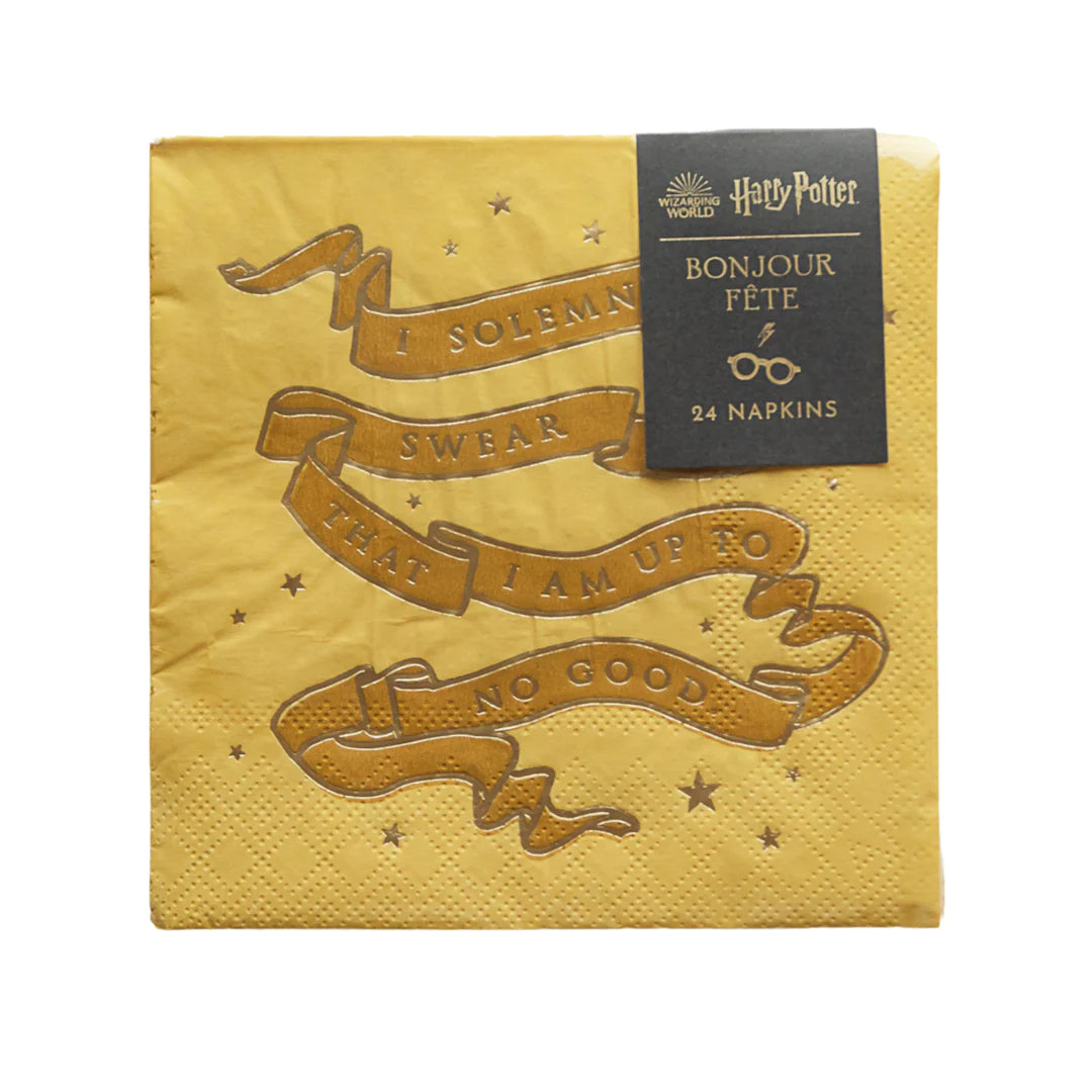 HARRY POTTER X BONJOUR FÊTE HOUSE PRIDE SMALL PARTY NAPKINS