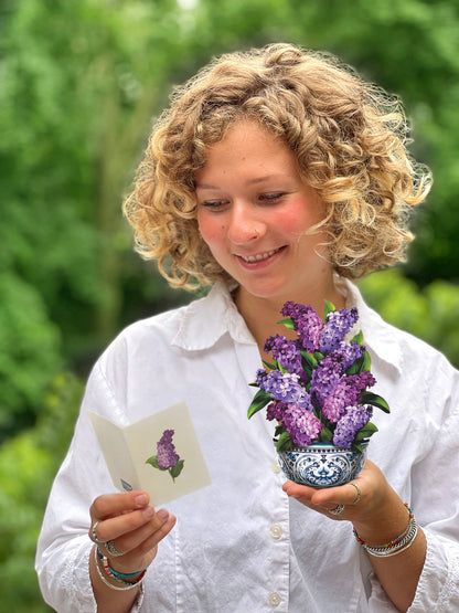Mini Garden Lilacs