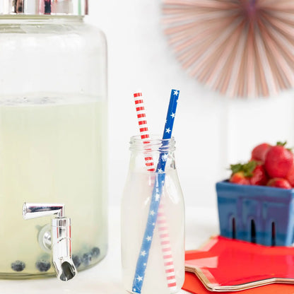 Red/White and Blue Reusable Straws