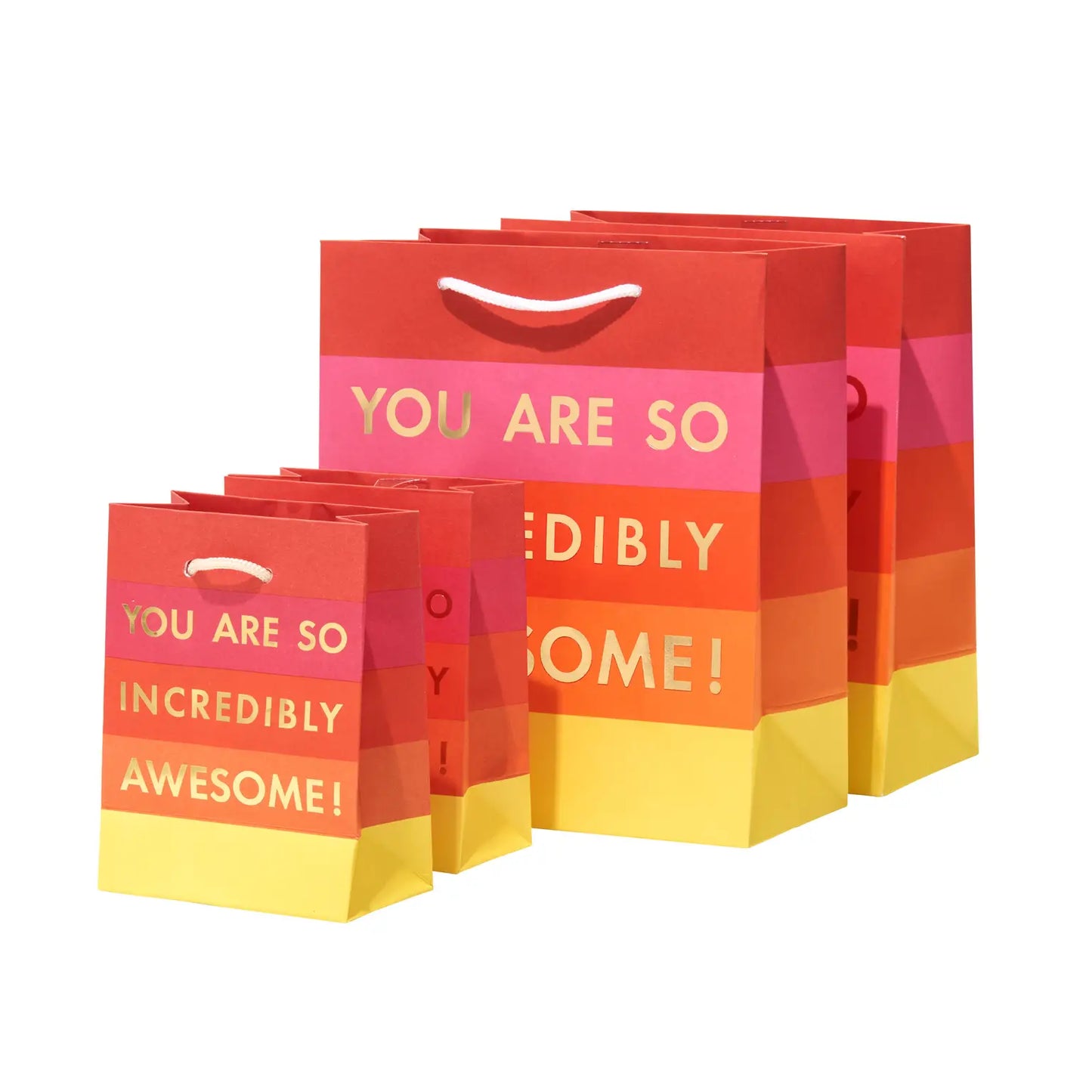 EVERYDAY BAG SET 4 - You are Awesome
